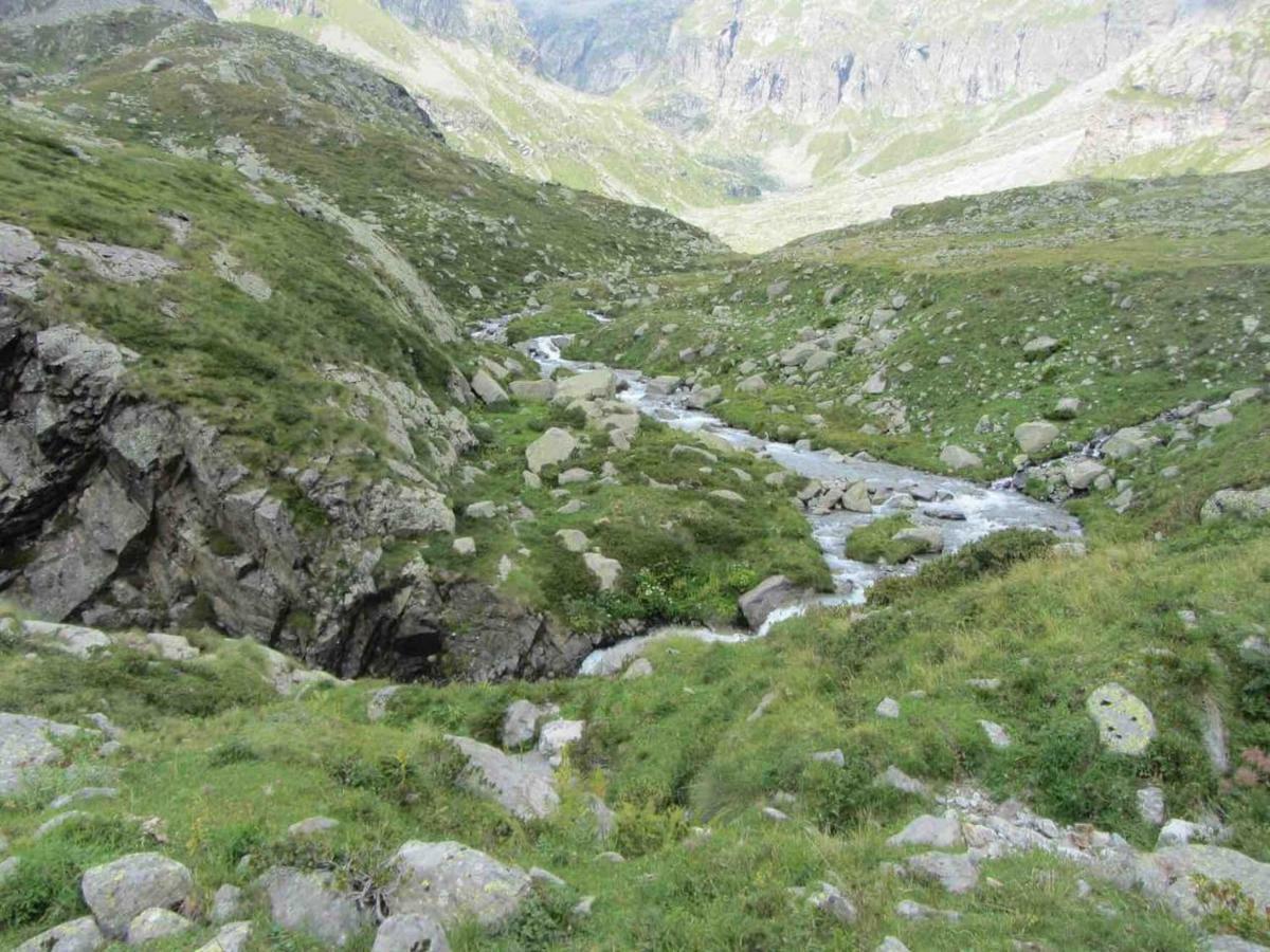Bilocale A Due Passi Dal Gran Paradiso Locana 外观 照片